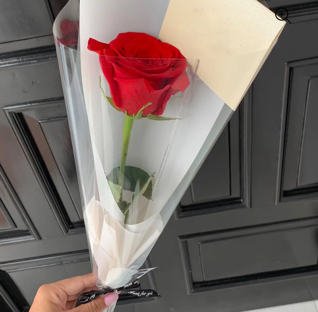 SINGLE ROSE