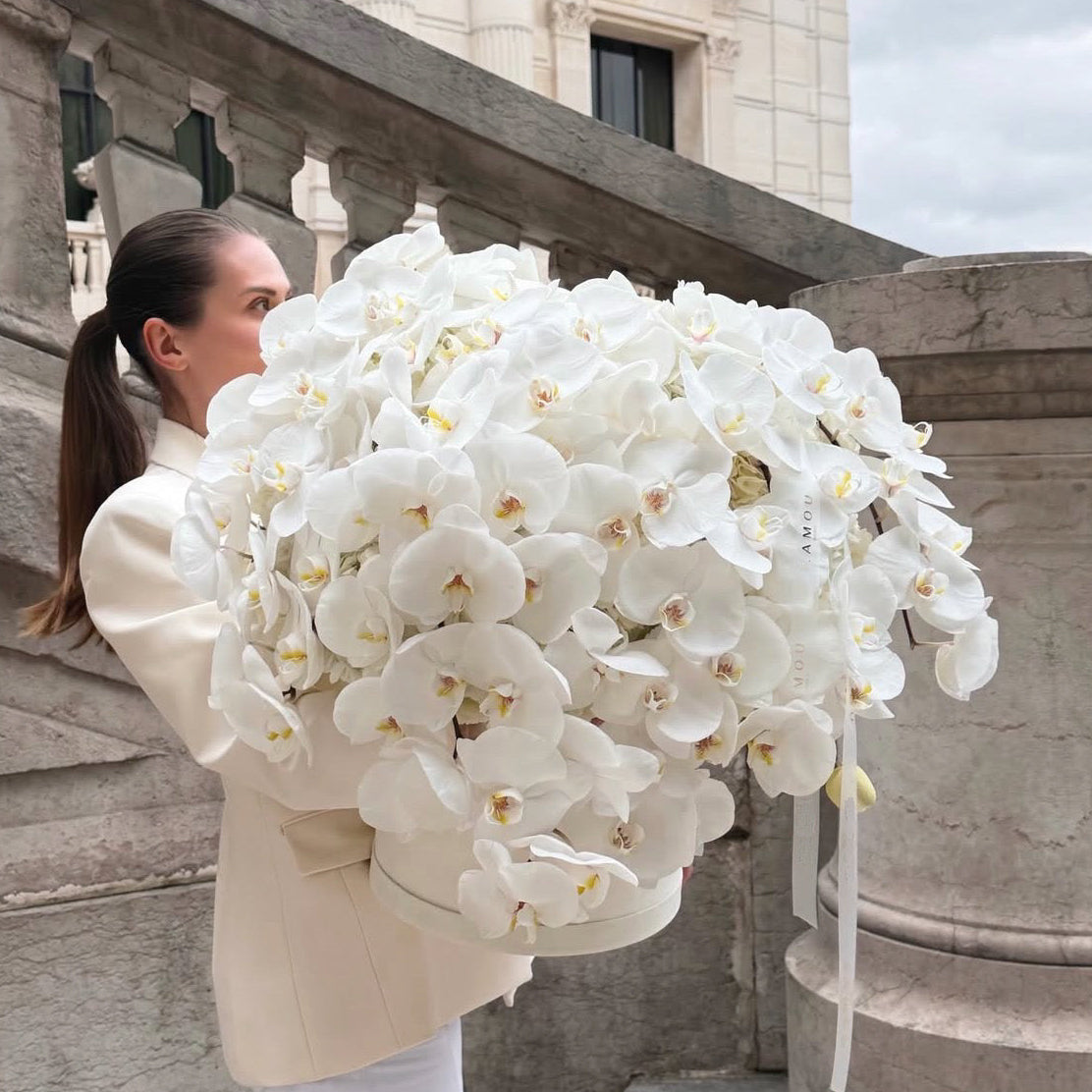 SWAN OF ORCHIDS