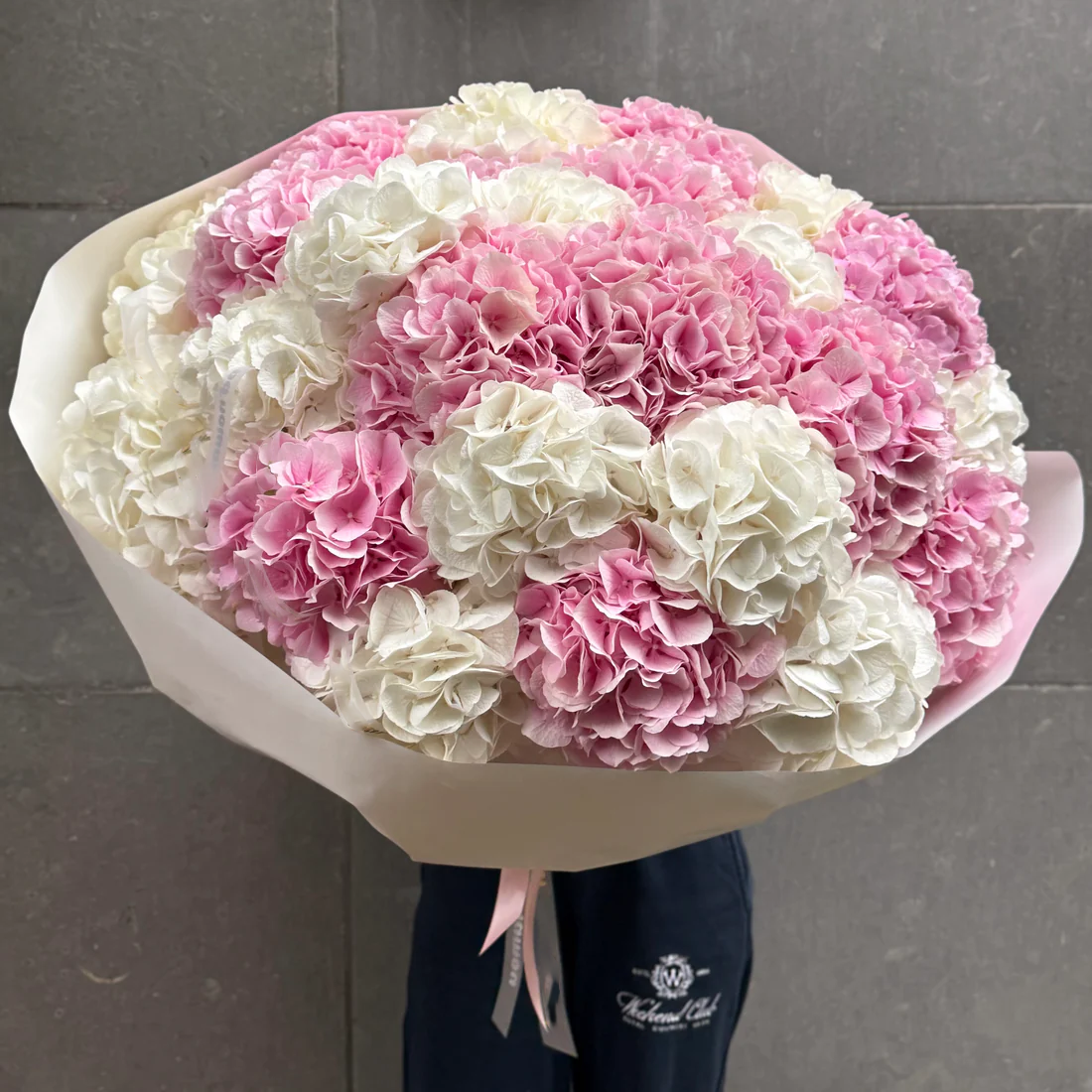 25 AMOUR HYDRANGEAS