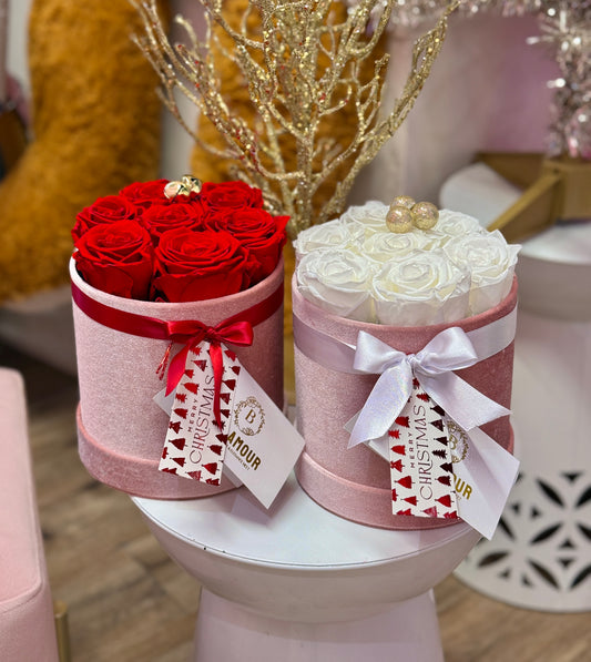 PRESERVED ROSE CHRISTMAS