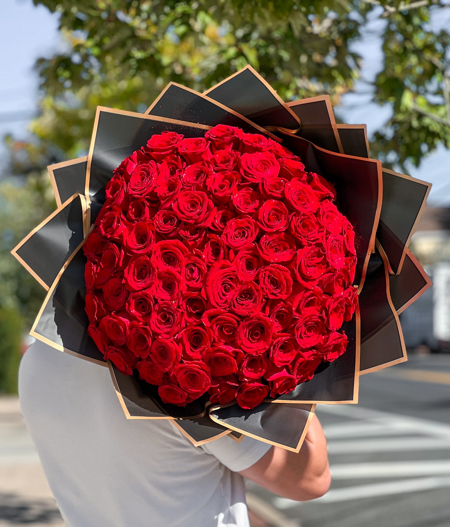 50 Fresh Red roses Close up