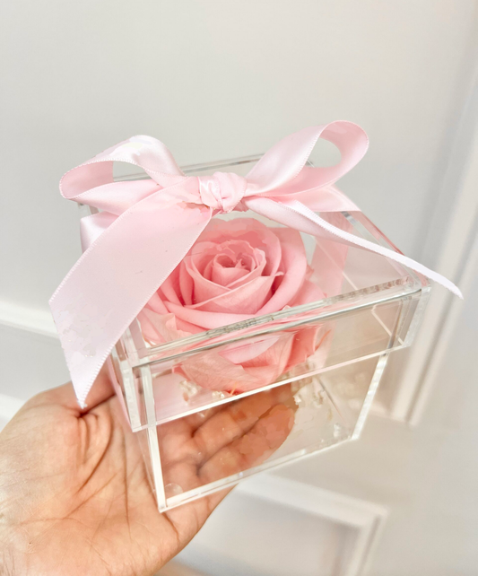 ROSA GRANDE PRESERVADA