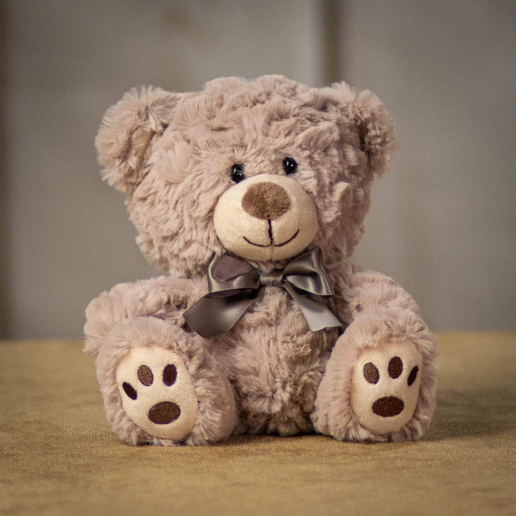 WARM TEDDY